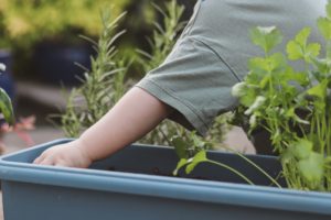 Molly Picking Herbs