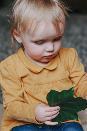 sensory basket