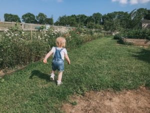 Fun at Bocketts Farm